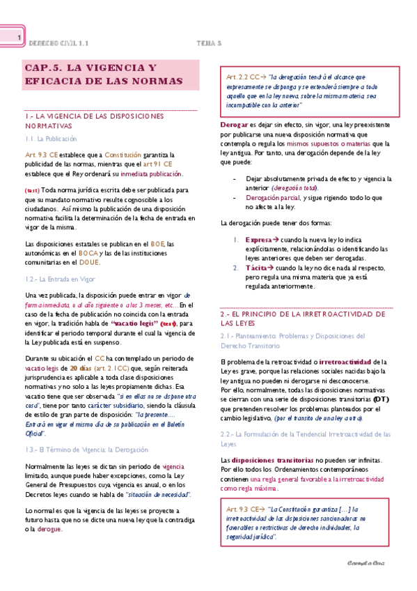 Miniatura del documento Cap.-5.-La-Vigencia-y-Aplicacion-de-las-Normas.pdf