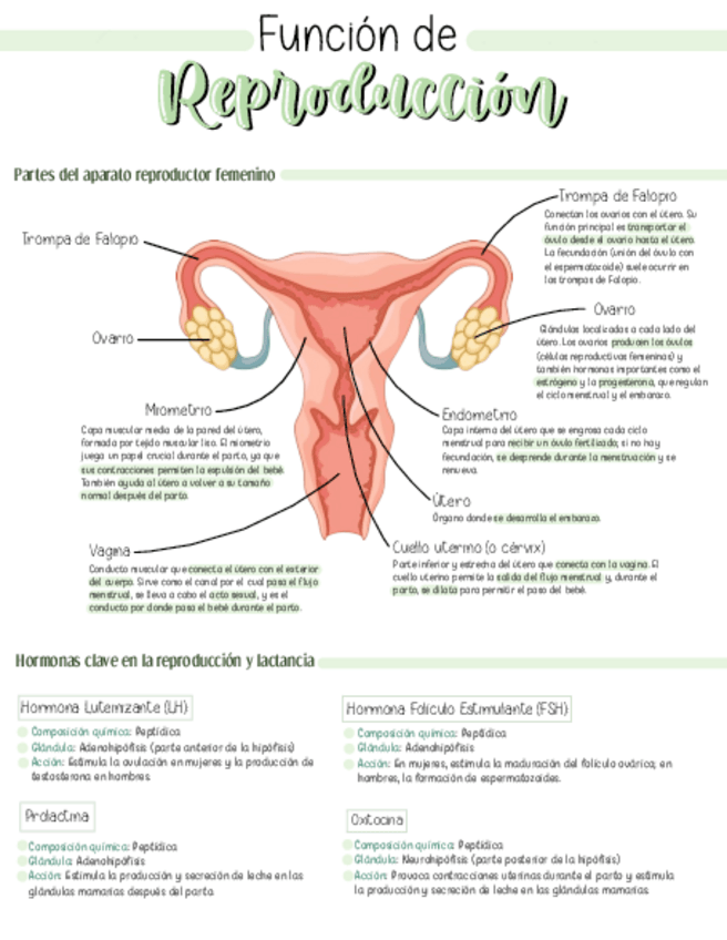 Miniatura del documento Funcion-de-reproduccion-conocimiento-cientifico.pdf