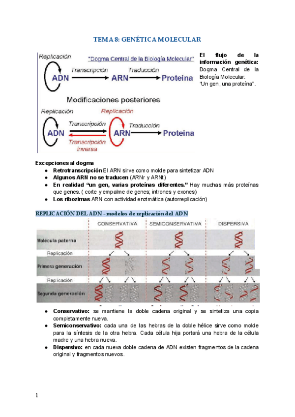 Miniatura del documento t8-genetica-molecular.pdf