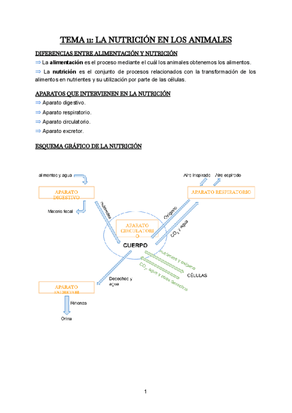 Miniatura del documento t2-la-nutricion-en-los-animales.pdf