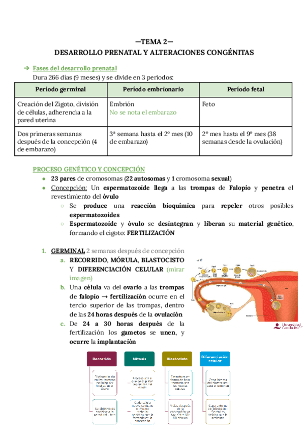Miniatura del documento TEMA-2.pdf