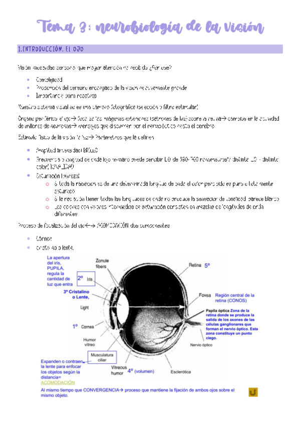 Miniatura del documento TEMA-3.pdf