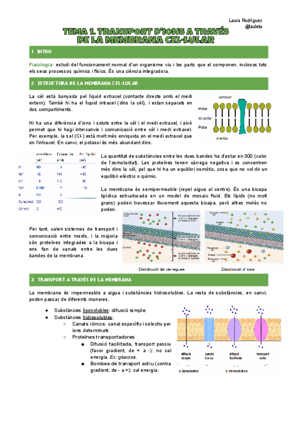 Miniatura del documento Apunts-tema-1-FCH-I.pdf