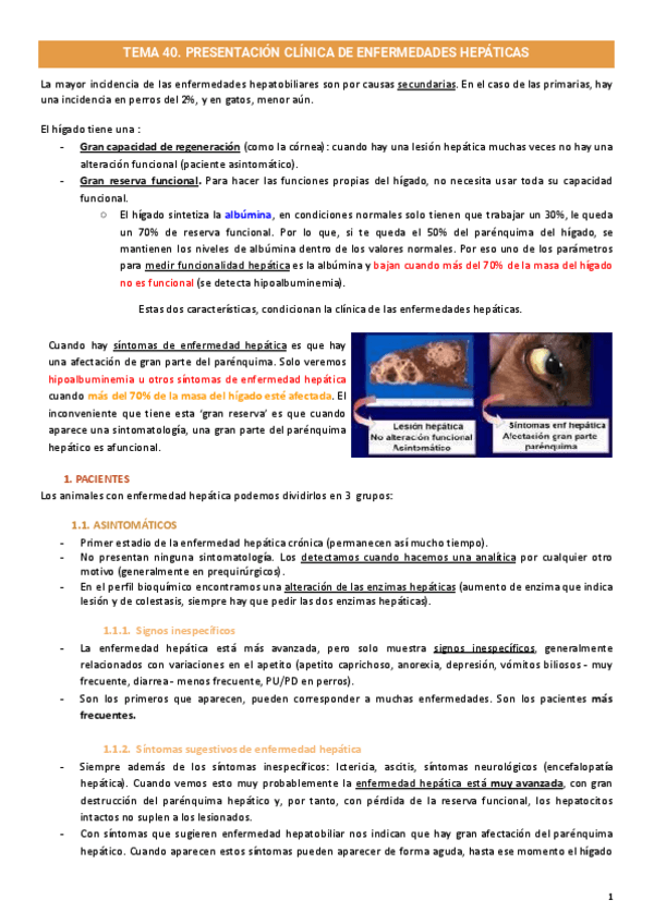 Miniatura del documento Higado.pdf