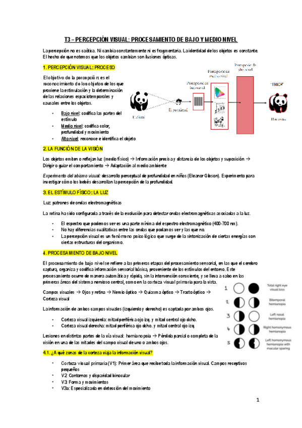 Miniatura del documento T3-PERCEPCION.pdf