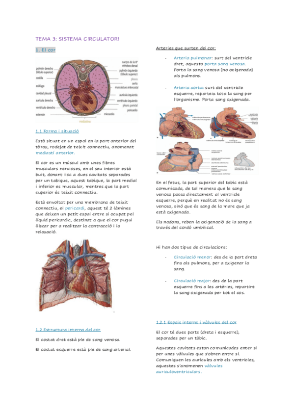 Miniatura del documento Tema-3-sistema-circulatori.pdf