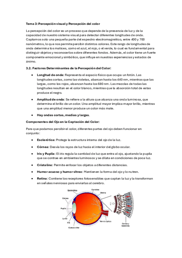 Miniatura del documento Tema-3-Percepcion.pdf