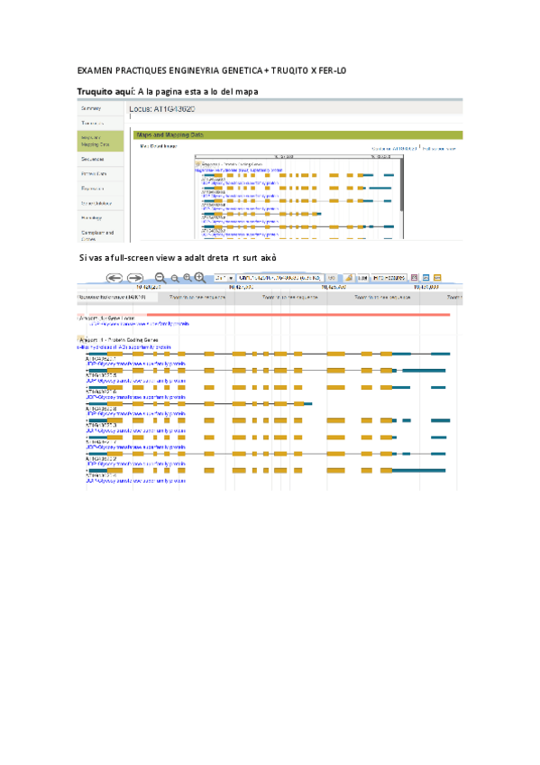 Miniatura del documento EXAMEN-PRACTIQUES-ENGINEYRIA-GENETICA-slay-rud-talk-pro-leo.pdf