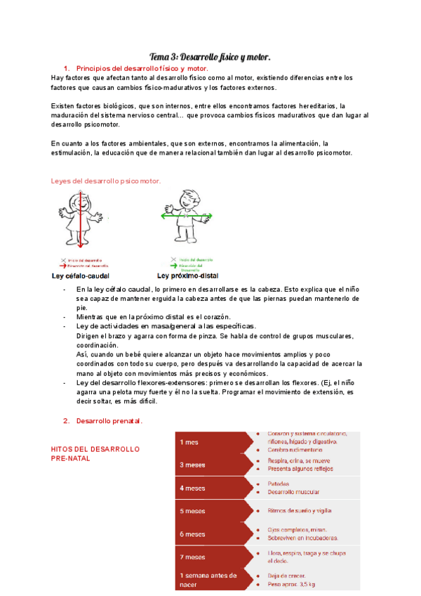 Miniatura del documento Tema-3-Desarrollo-fisico-y-motor.pdf