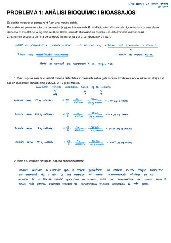 Miniatura del documento Problema-1-LIA-BROSA.pdf