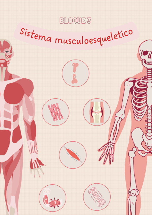 Miniatura del documento BLOQUE-MUSCULOESQUELETICO.pdf