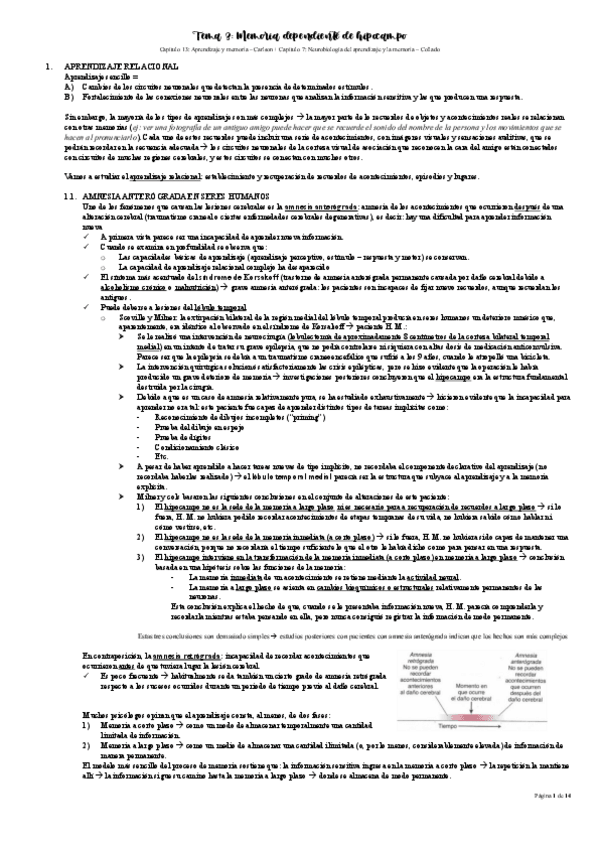 Miniatura del documento TEMA-3-PFI-MEMORIA-DEPENDIENTE-DE-HIPOCAMPO.pdf