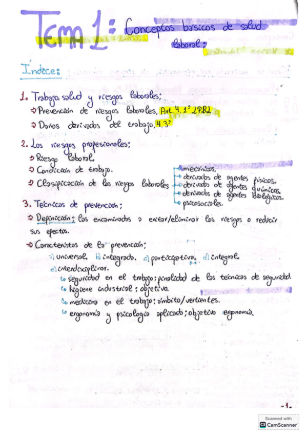Miniatura del documento Temas-1-3-prevencion--preguntas.pdf