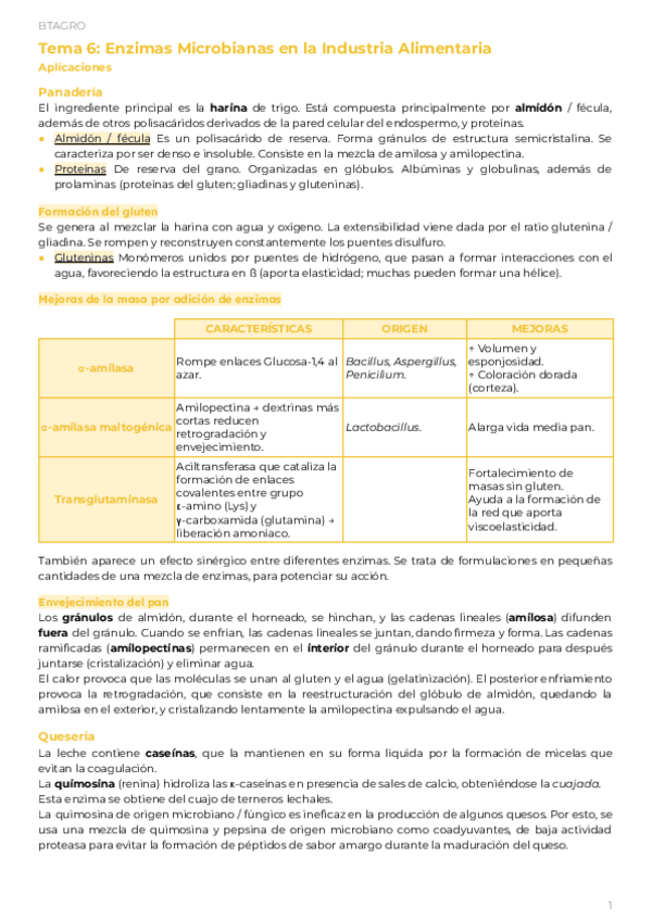 Miniatura del documento PAR1Tema-6.2-Aplicaciones-de-Enzimas-Microbianas-en-la-Industria-Alimentaria.pdf