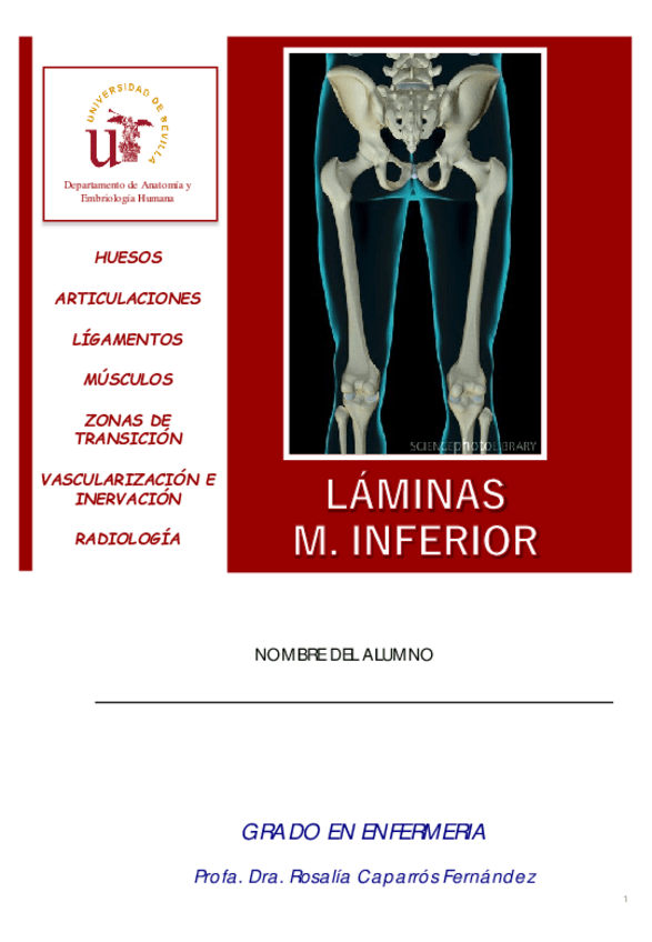 Miniatura del documento Laminas-Mudas-M.-Inferior-Formulario-Enfer-23-24.pdf