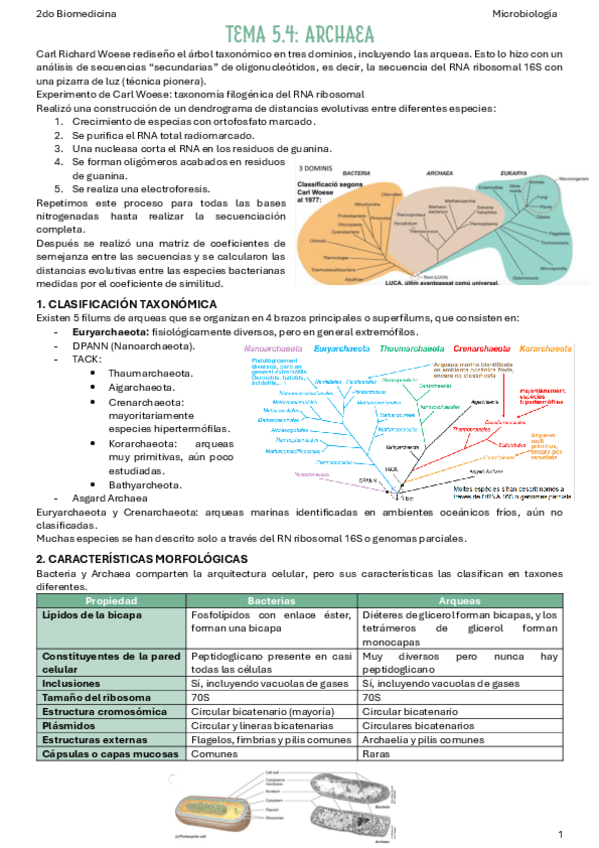 Miniatura del documento T5.4-Arqueas.pdf