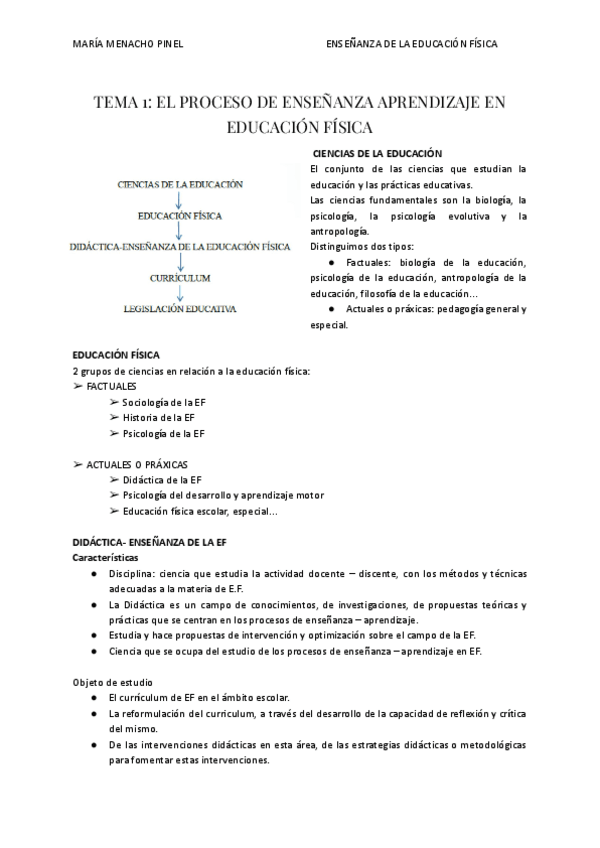 Miniatura del documento ENSENANZA-T.1.pdf