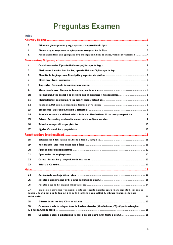 Miniatura del documento Preguntas-Examen-V2.pdf