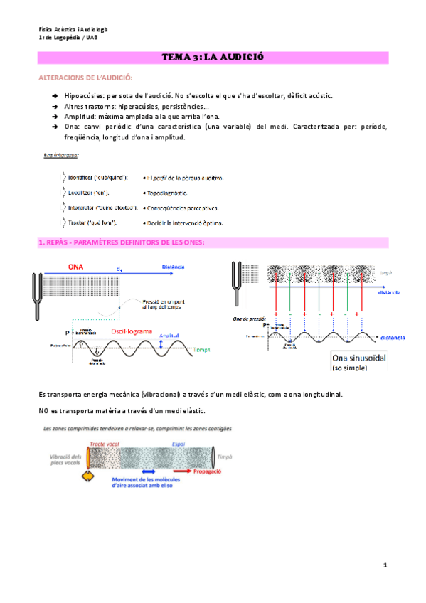 Miniatura del documento TEMA-3-LA-AUDICIO.pdf