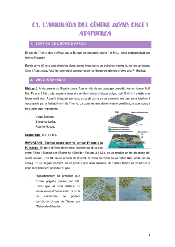 Miniatura del documento 1r-pacial-prehistoria-pi.pdf
