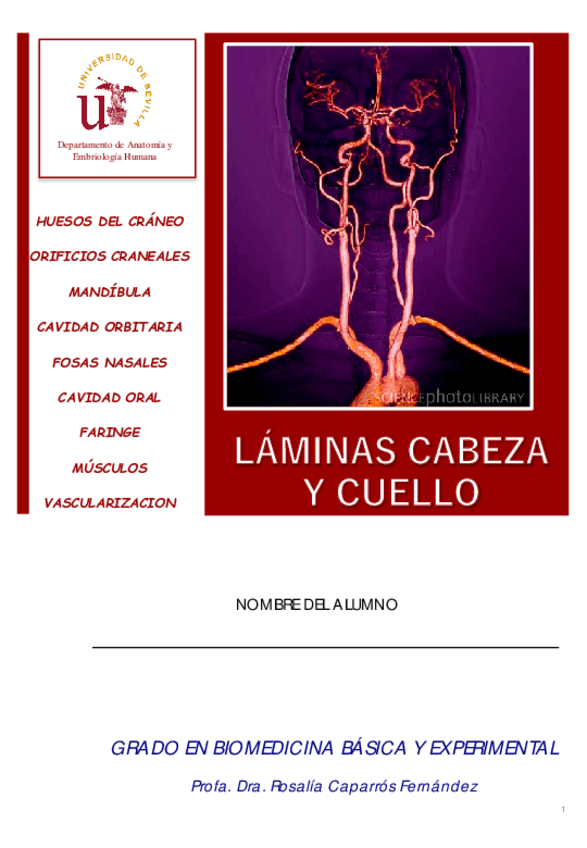 Miniatura del documento Laminas-Mudas-Cabeza-y-Cuello-Formulario-Enfer-23-24.pdf
