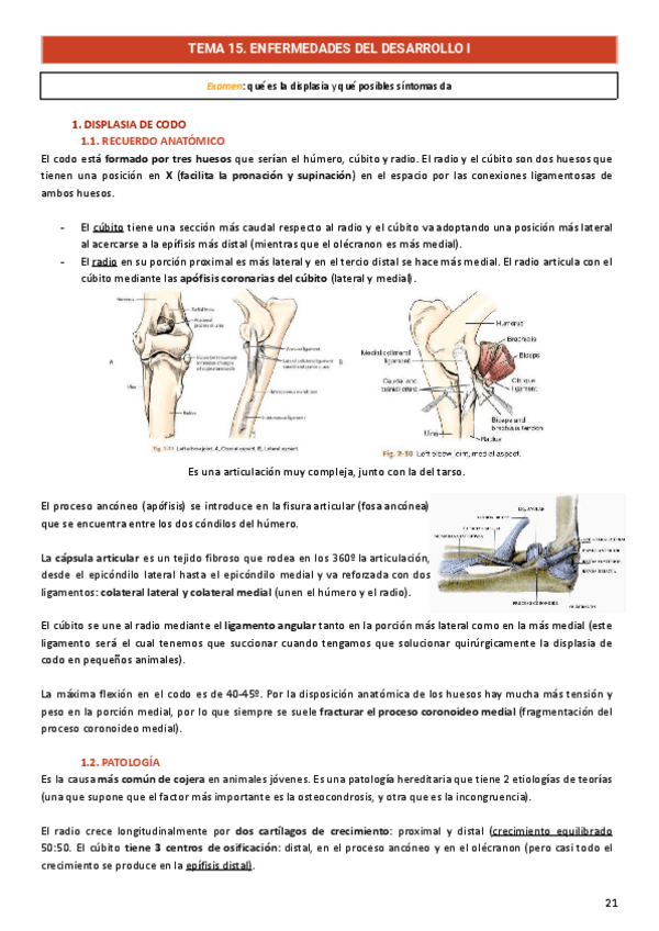 Miniatura del documento Traumatologia-y-Cirugia-Ortopedica-1.pdf