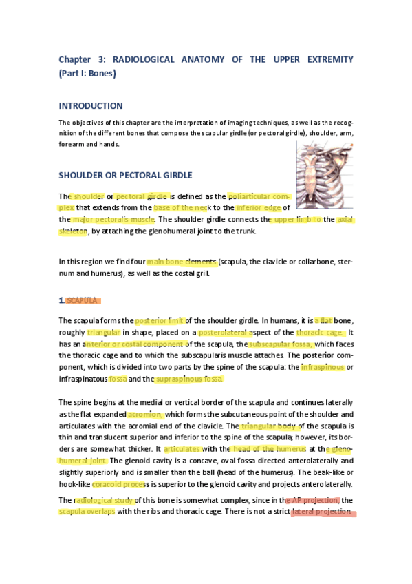 Miniatura del documento RX-IV-Chapter-3-Radiological-Anatomy-of-the-Upper-Extremity-Part-I-Bones220123190454.pdf