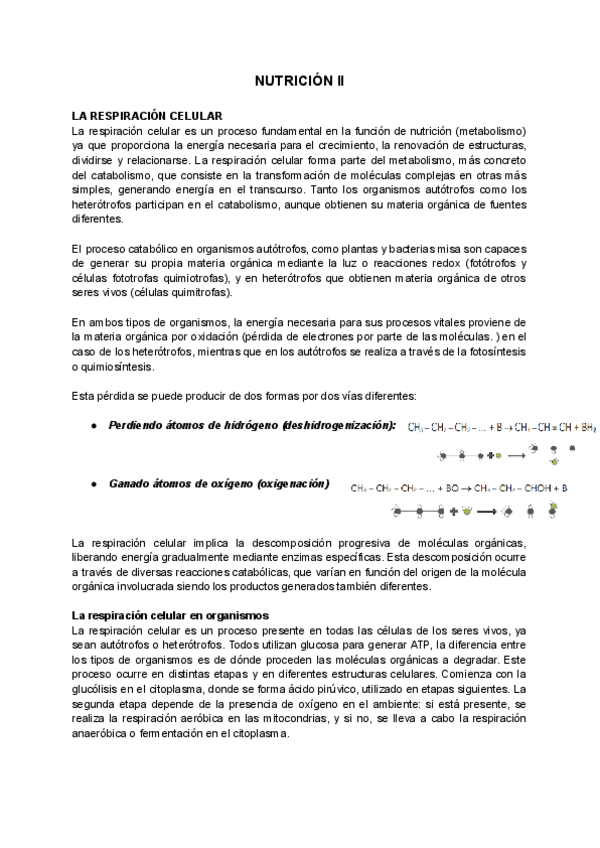 Miniatura del documento NUTRICION-II.pdf