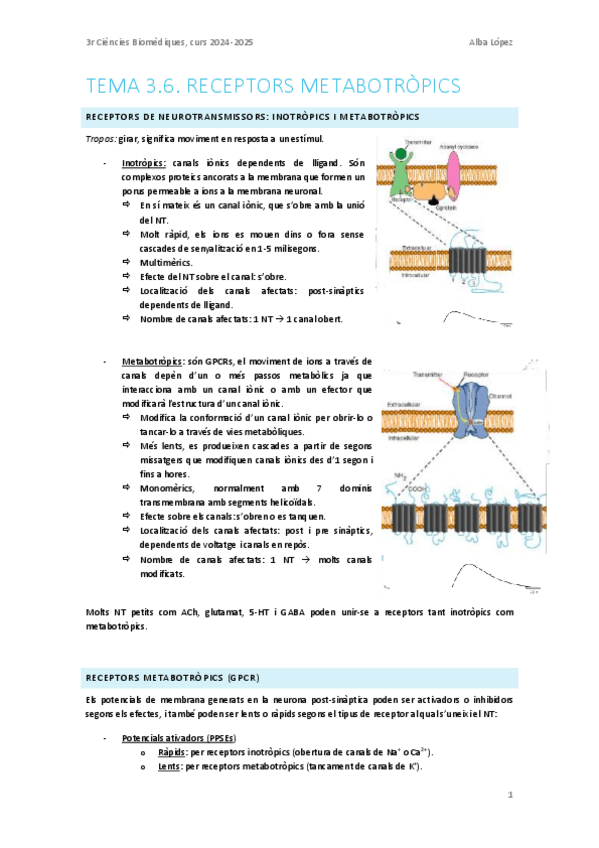 Miniatura del documento Tema-3.6.-Receptors-metabotropics.pdf