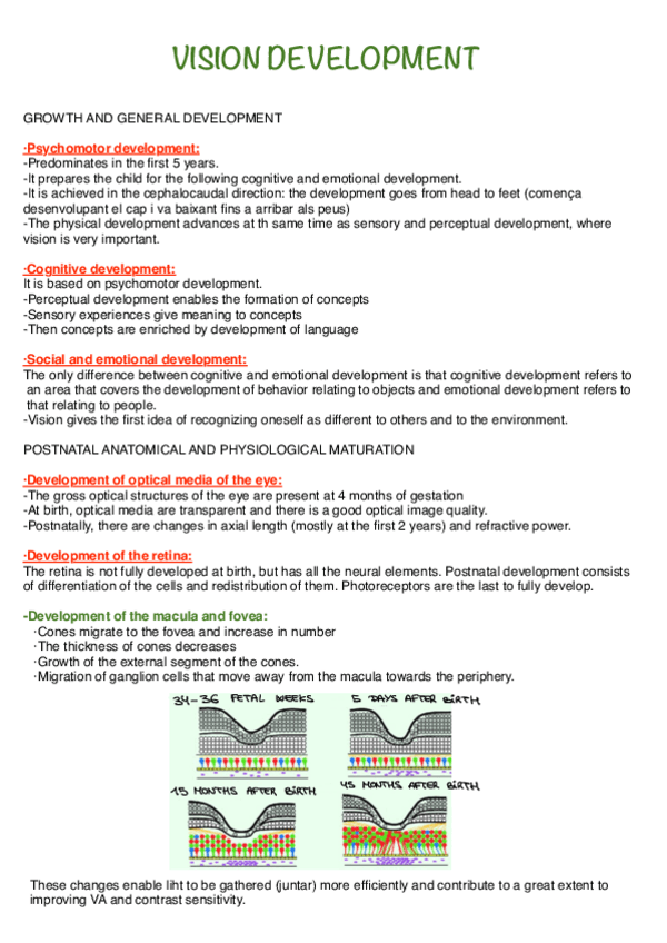 Miniatura del documento vision-development.pdf