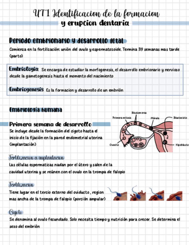 Miniatura del documento UT1-Embriologia.pdf