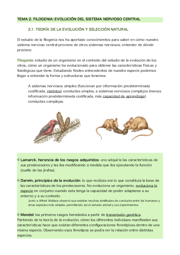 Miniatura del documento Tema-2.pdf