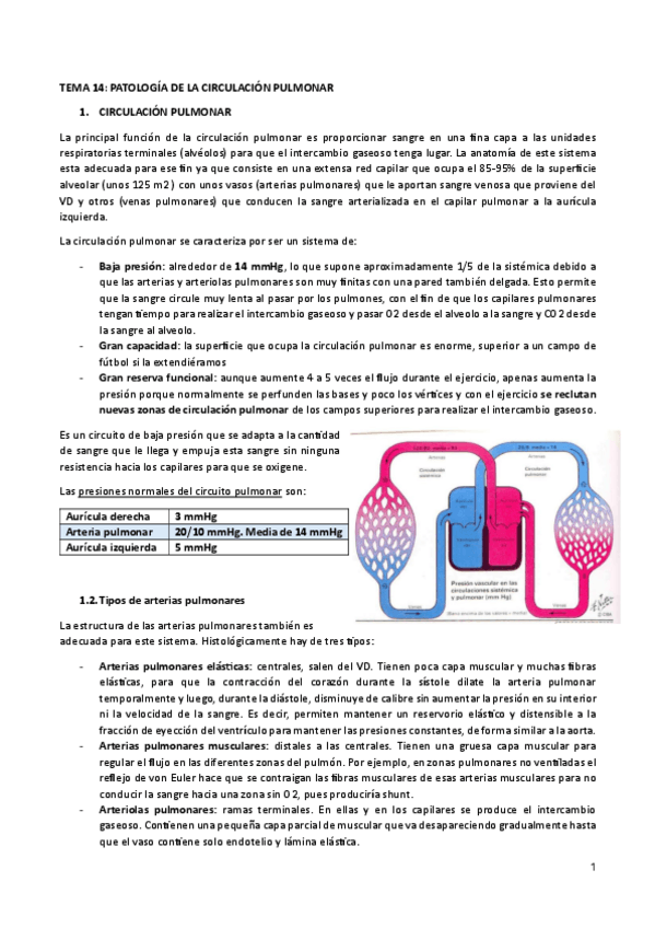 Miniatura del documento TEMA-14-circulacion-pulmonar.pdf