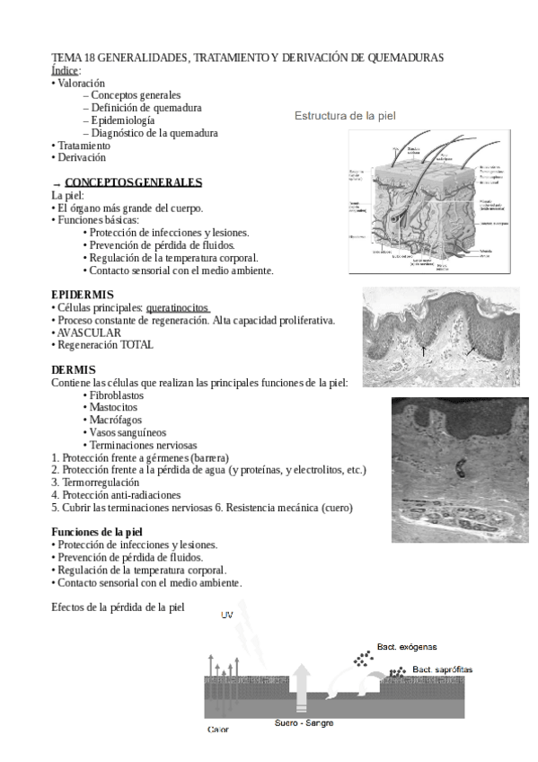 Miniatura del documento Tema-18.-Quemadurassin-sub.pdf