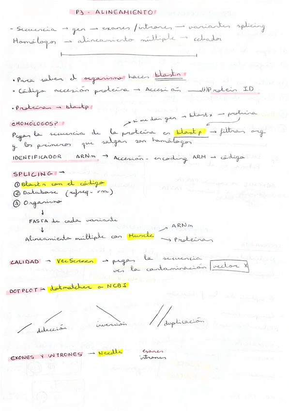 Miniatura del documento Esquemas clave para EXAMEN.pdf