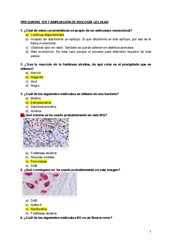 Miniatura del documento PREGUNTAS-TEST.pdf