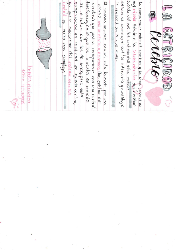 Miniatura del documento LA-ELECTRICIDAD-DEL-CEREBLRO...pdf