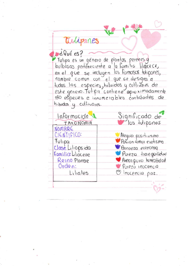 Miniatura del documento TULIPANES-DEFINICION.pdf