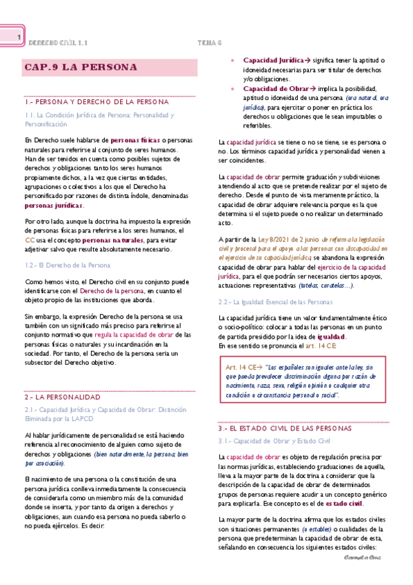 Miniatura del documento Cap.-9.-La-Persona.pdf