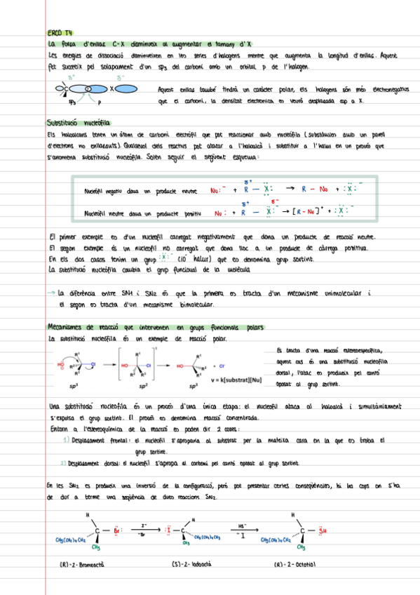 Miniatura del documento ERCO-T4.pdf