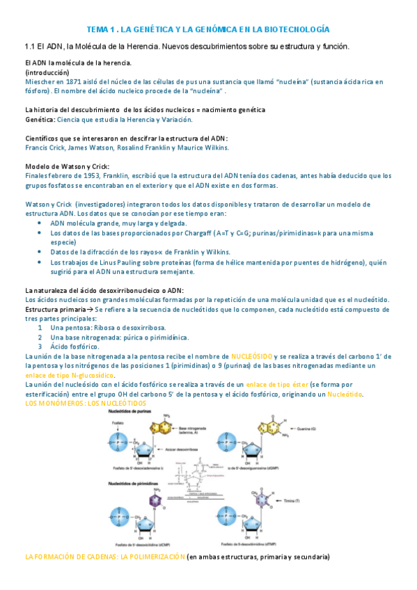 Miniatura del documento TEMA-1-EXAMEN-1.pdf