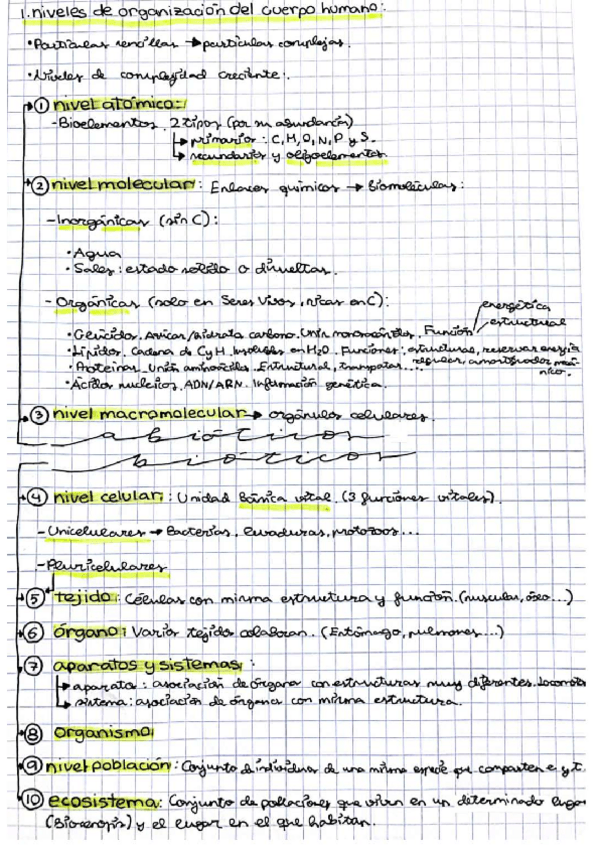 Miniatura del documento IMG3576.pdf