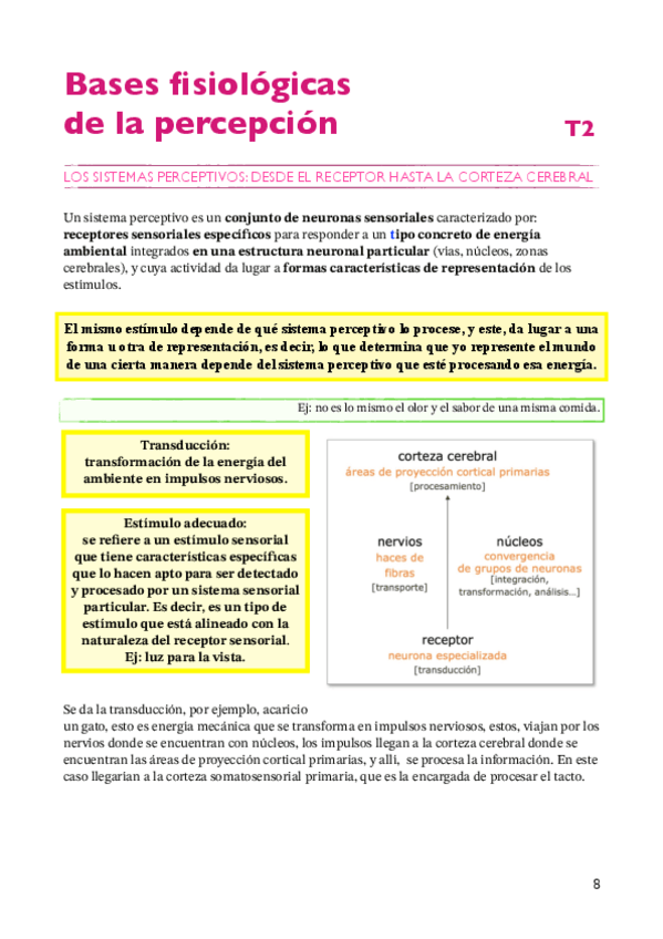 Miniatura del documento Percepción y atención apuntes T2 2024/2025.pdf