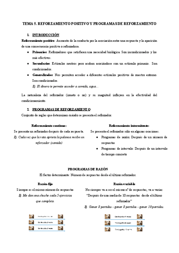 Miniatura del documento TEMA-5.-REFORZAMIENTO-POSITIVO-Y-PROGRAMAS-DE-REFORZAMIENTO.pdf