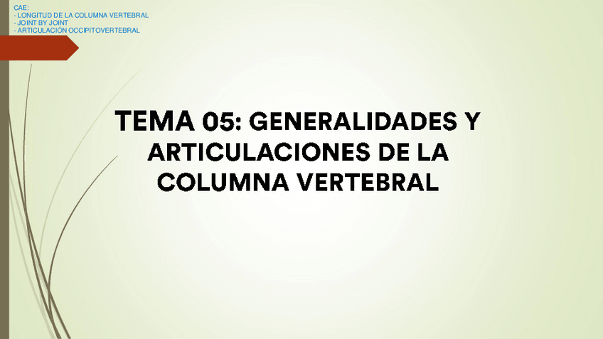 Miniatura del documento Tema-05-AFAL-Generalidades-y-articulaciones-de-la-columna.pdf