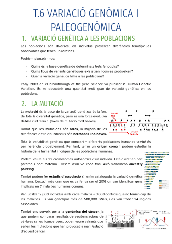 Miniatura del documento T.6-VARIACIO-GENOMICA-I-PALEOGENOMICA.pdf