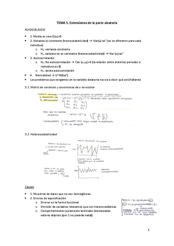 Miniatura del documento TEMA-5.-Extensiones-de-la-parte-aleatoria.pdf
