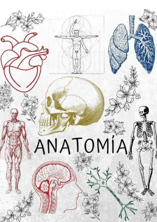 Miniatura del documento TEMARIO-COMPLETO-ANATOMIA.pdf