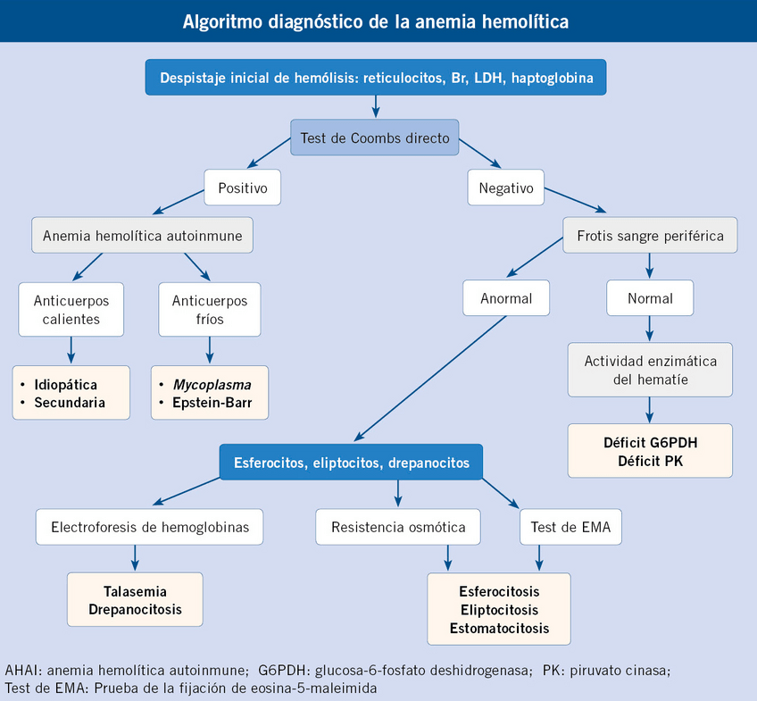 Miniatura del documento anemia-hemolitica.pdf