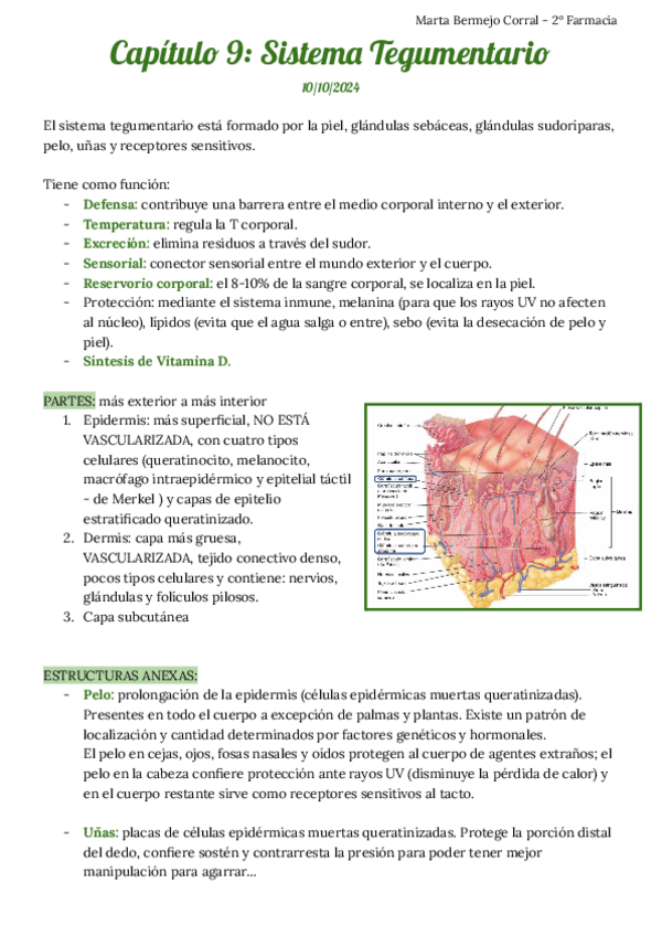 Miniatura del documento Capitulo 9. Sistema Tegumentario.pdf